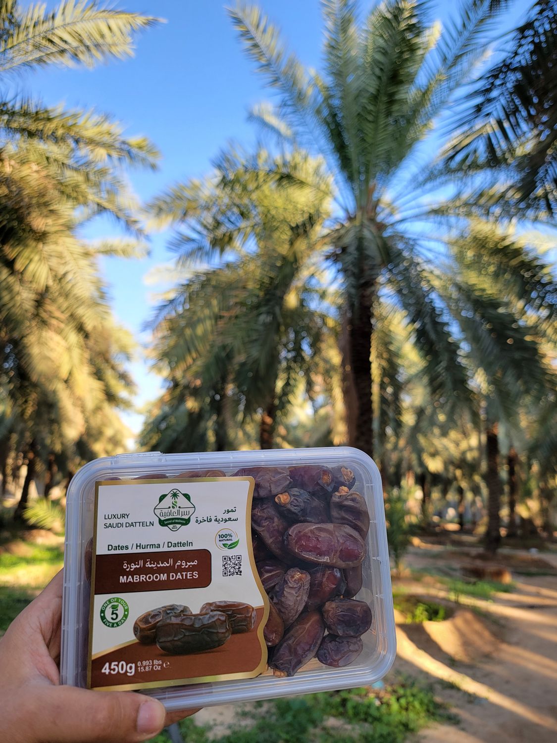 Majdool Dates